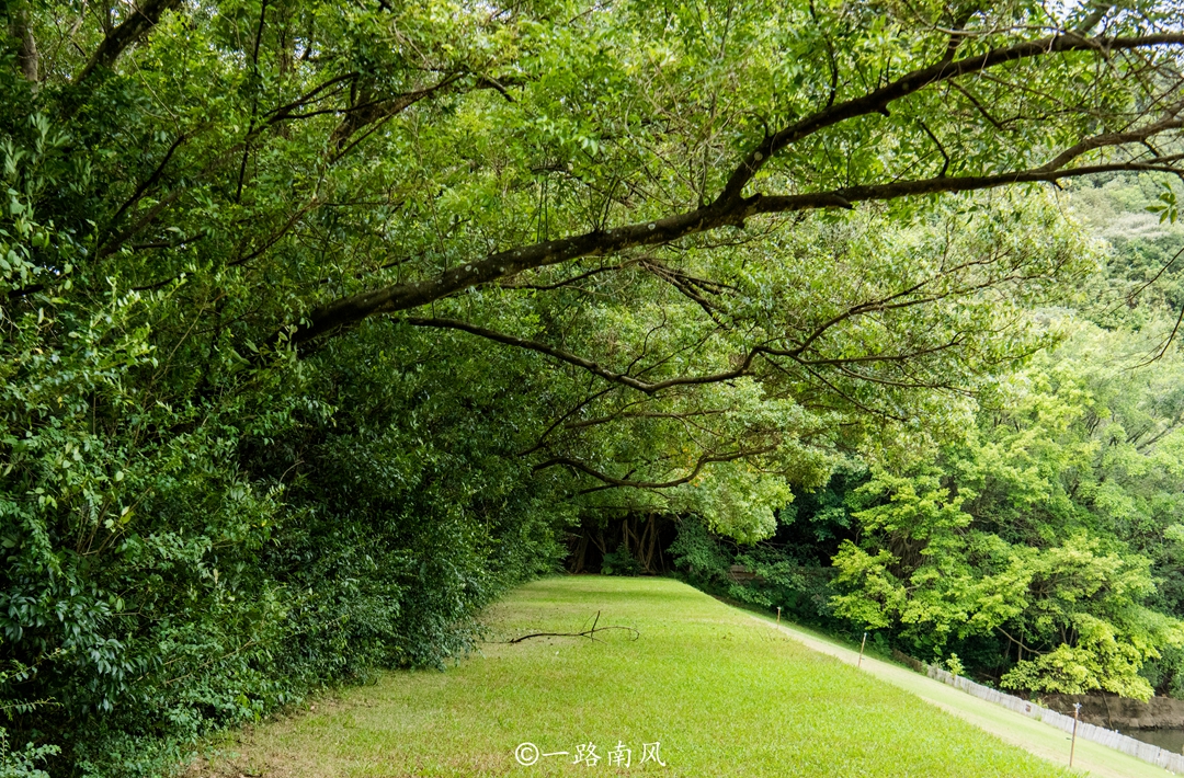 梅州长寿之乡最新排名,世界客都长寿之乡梅州宣传片