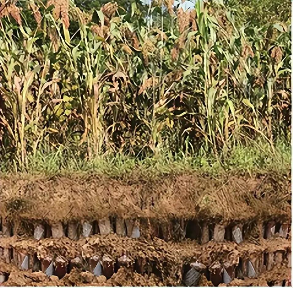 赖茅酒97年香港回归纪念版多少钱,97香港回归版赖茅酒现在值多少钱