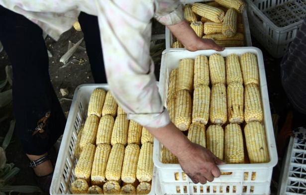 美急求会面后,中企取消对美订单,美媒:退单潮或将继续