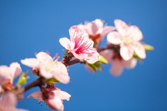 小学生怎样能改掉写错别字的习惯,小学老写错别字怎么办