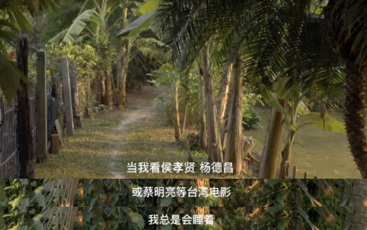 王家卫作品被撕，竟被夸终于有人敢说真话？内娱“鄙视链”真悲哀