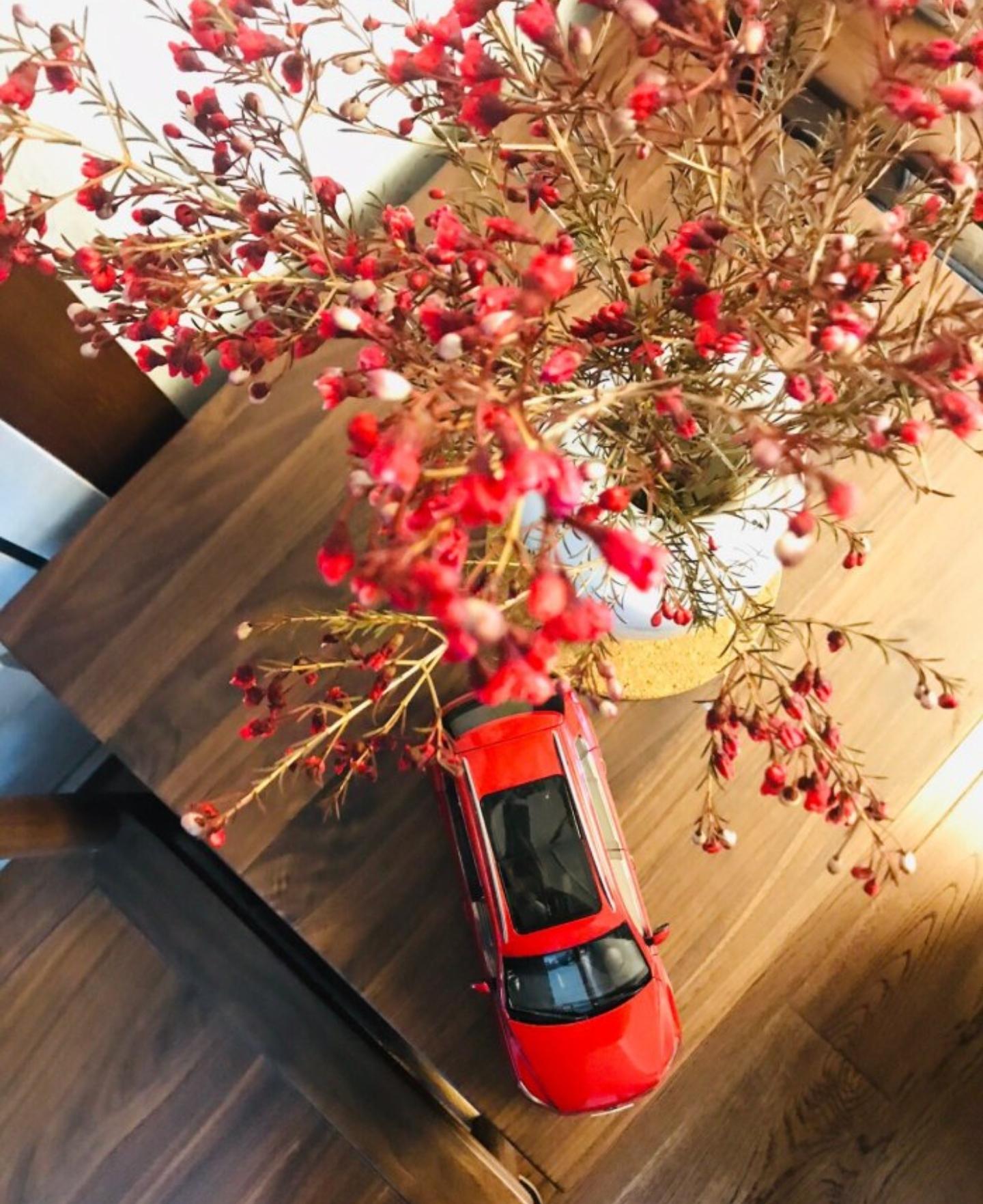 提新车红布怎么用,提新车挂红布挂在哪里