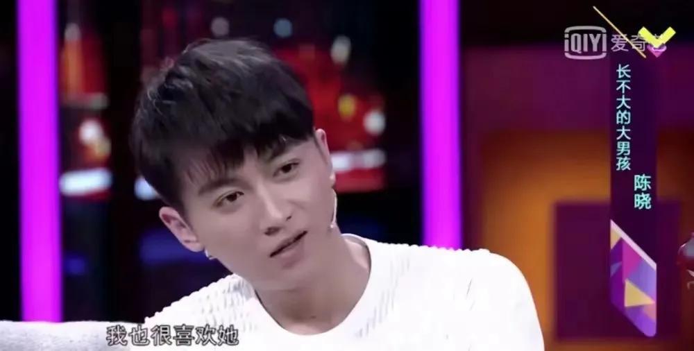 演员陈晓的作品有哪些,陈晓作品混剪