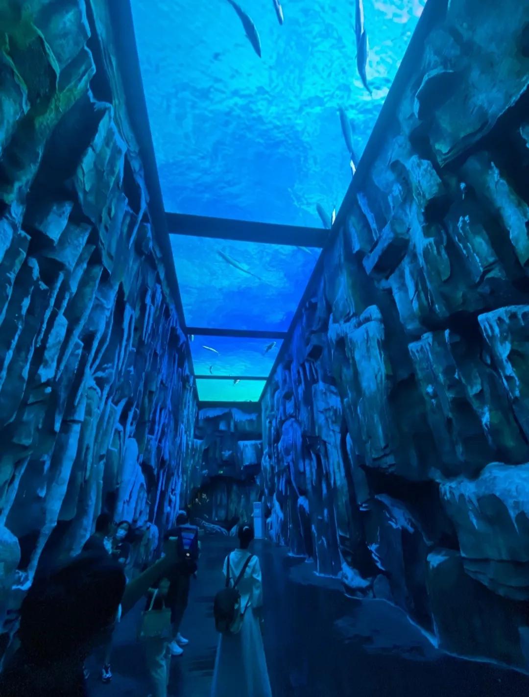 浙江最值得去的十大景区,浙江玉环十大景区排名