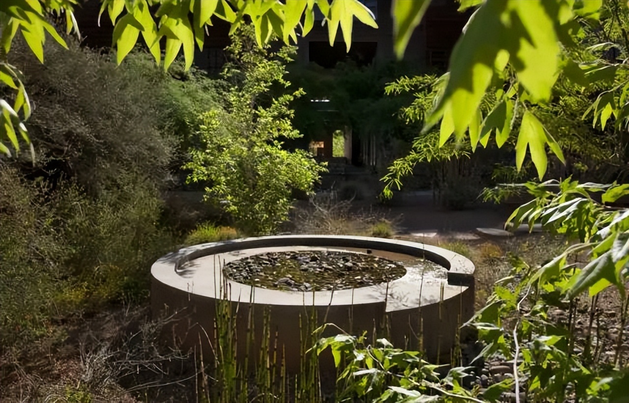 大学校园绿化设计,现代校园绿化规划设计