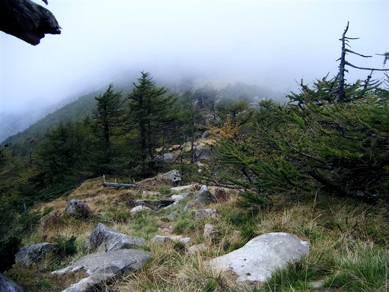 鳌太穿越UL之旅