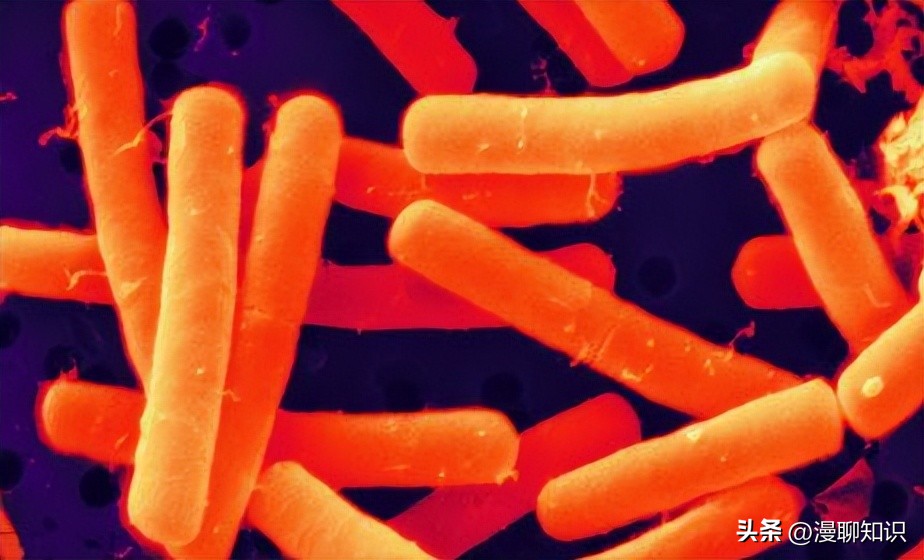 呕吐毒素超标对人体有什么危害,呕吐毒素多少剂量对身体造成危害