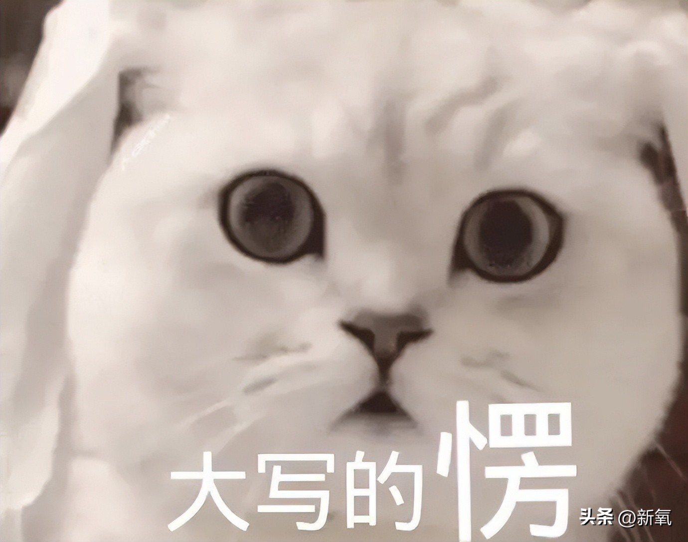 百亿身家的旺旺二公子,身家510亿的旺旺家二公子