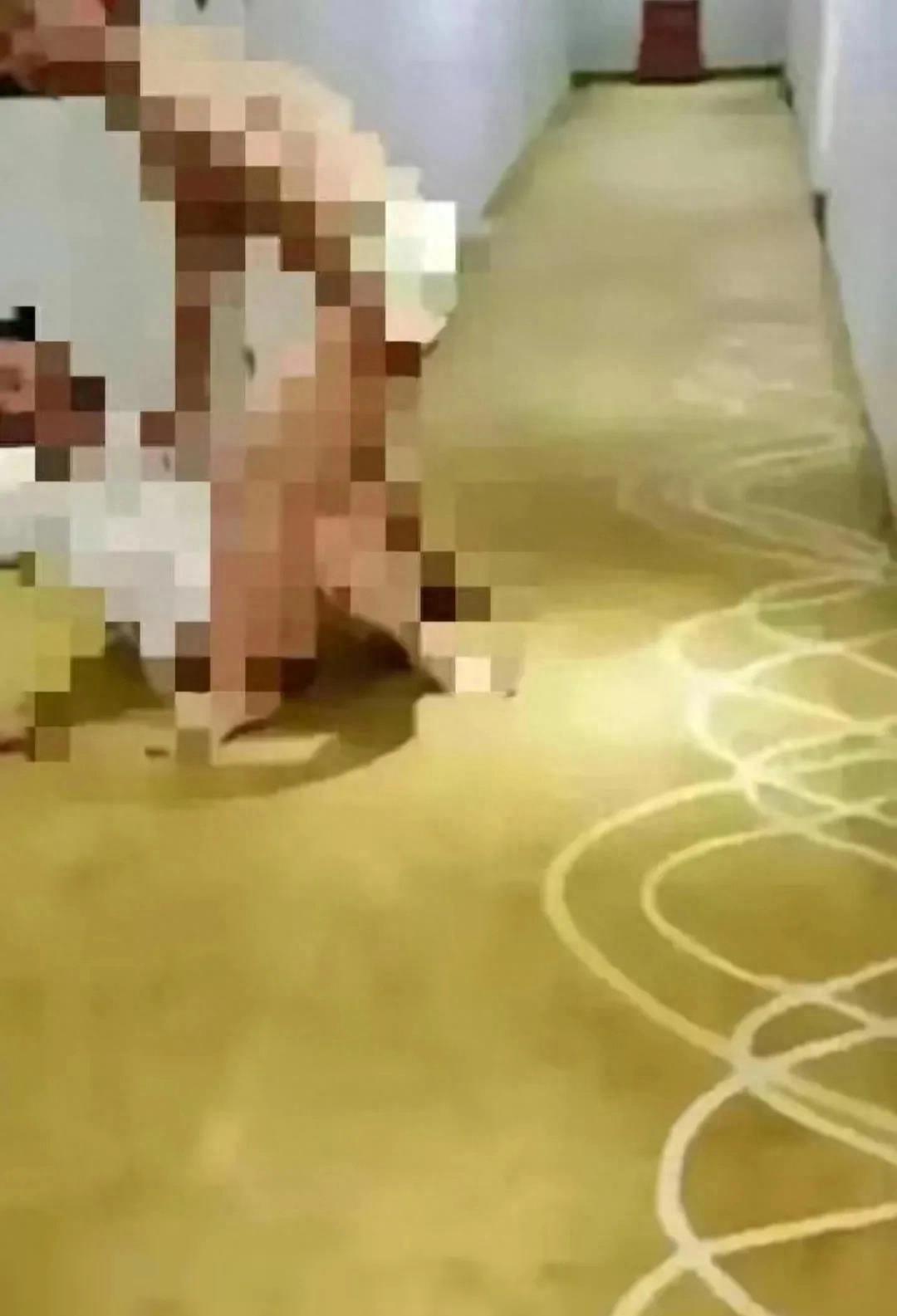 狂野！项城酒店情侣视频震撼曝光！引爆社交媒体热议！