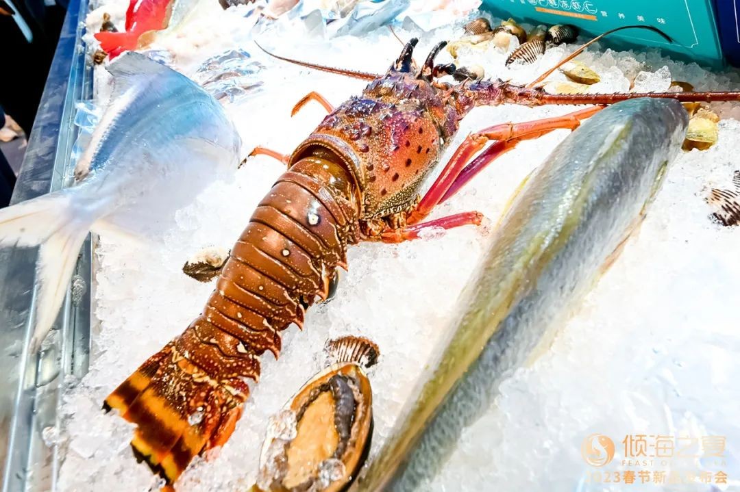 西林设计工作室,西林产品设计专业