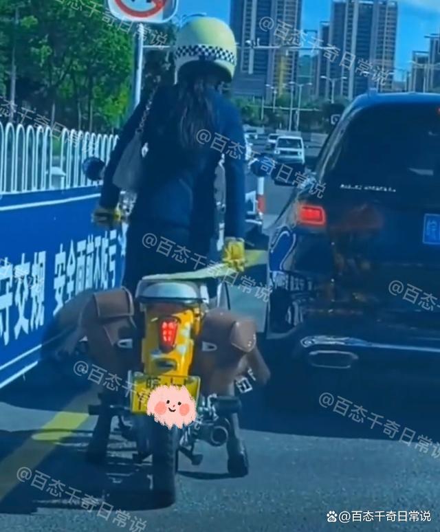 安庆女子骑车拿出蒲扇,安徽一女子骑电瓶车