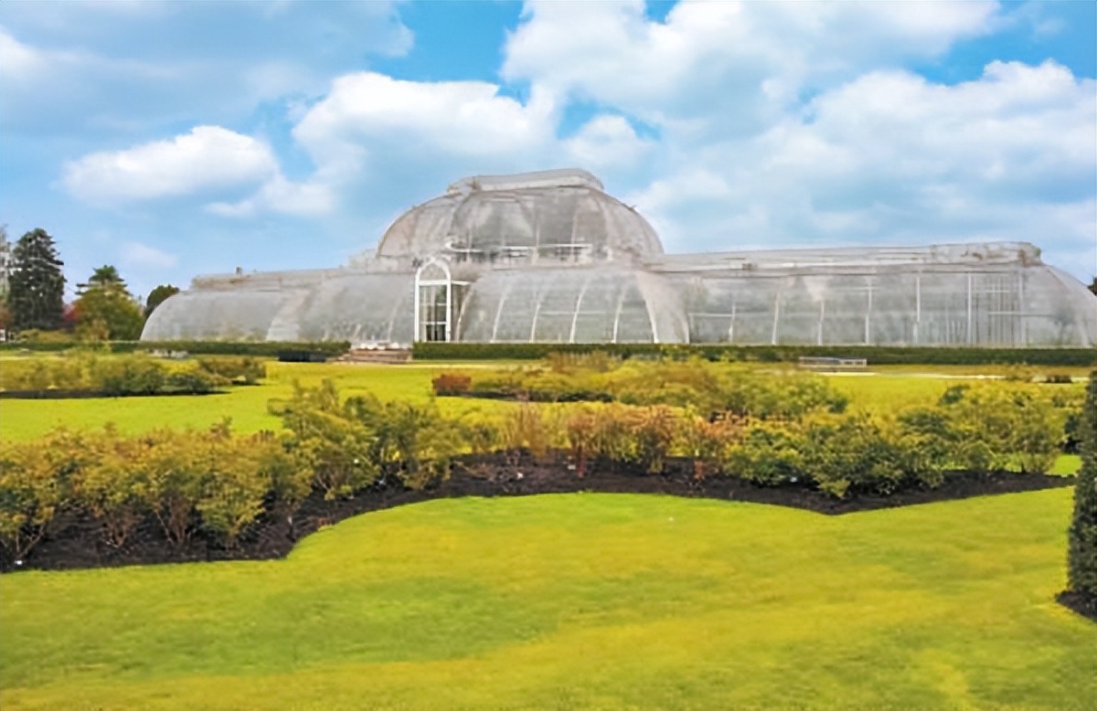 林草科普宣传视频,林草文化科普篇