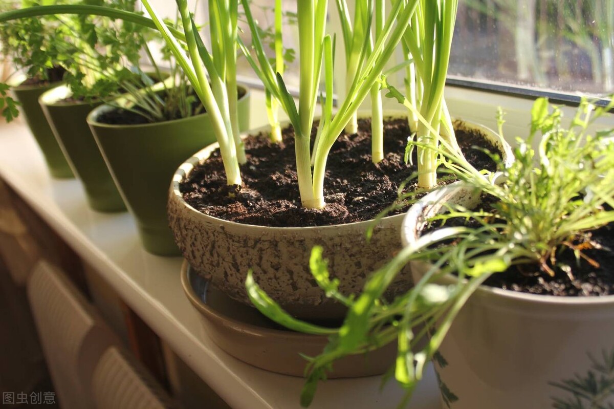 快递气泡垫正确用法,快递箱里的气泡垫