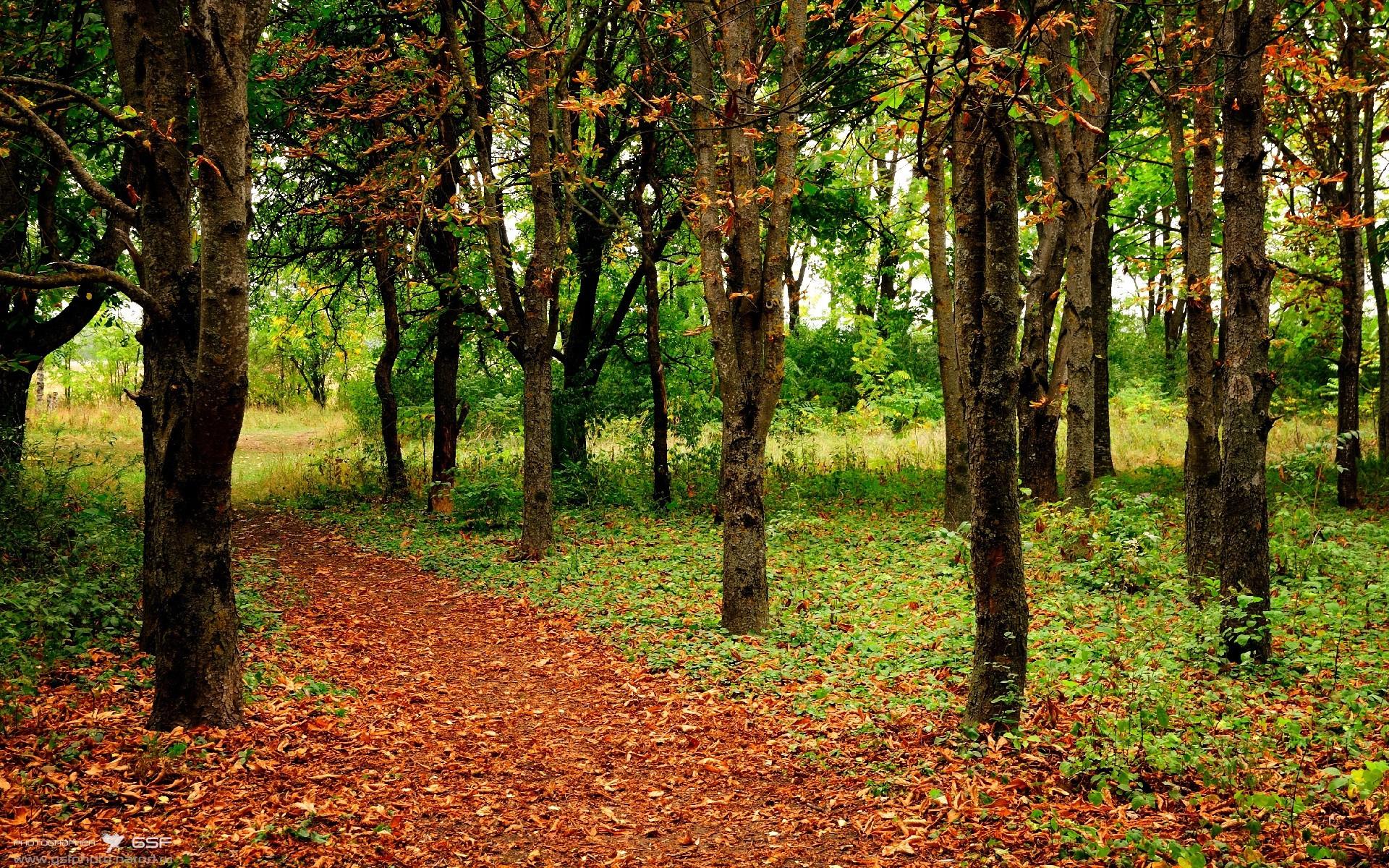 中国好声音王靖雯忽而今夏后续,中国好声音西安赛区曹杨晋级了吗