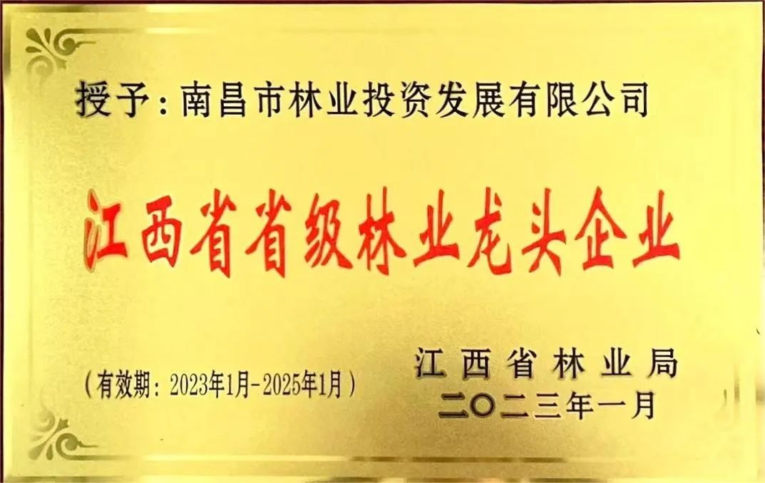 南昌市农业发展投资有限公司,南昌市林业投资发展