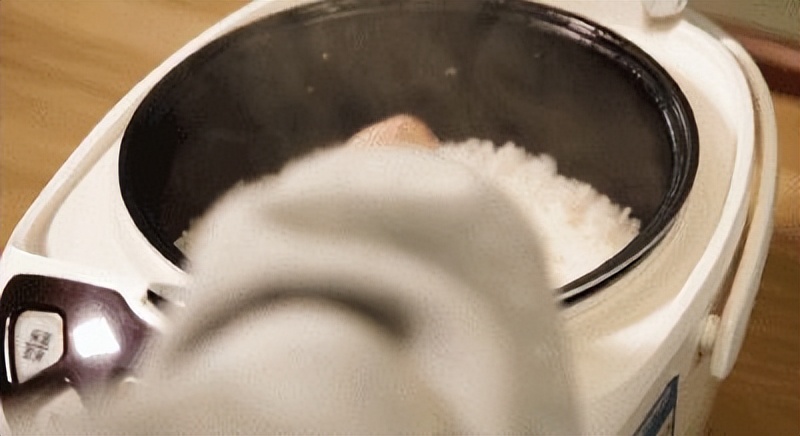 100斤大米怎样保存不发霉不生虫,大米发霉怎样防治