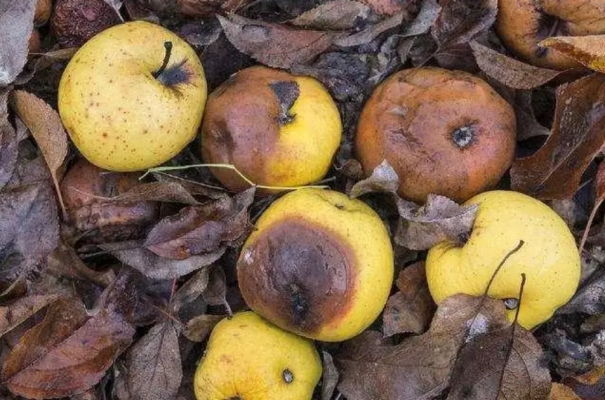 路上碰到这10件东西千万别捡,路边遇到4种东西不要随便捡回家