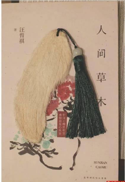 养芒果核不用吹风机行不行,养芒果核当宠物要晒多久