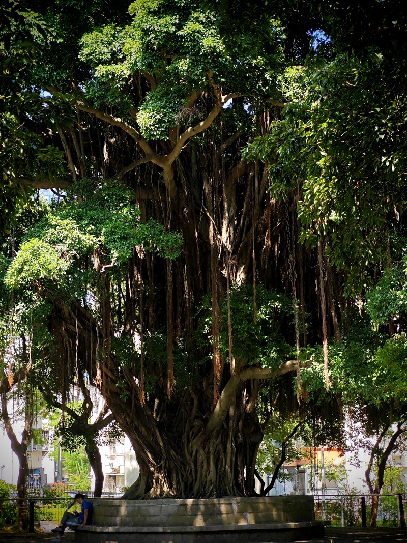 深圳ENJOY｜城市漫游指南·蛇口