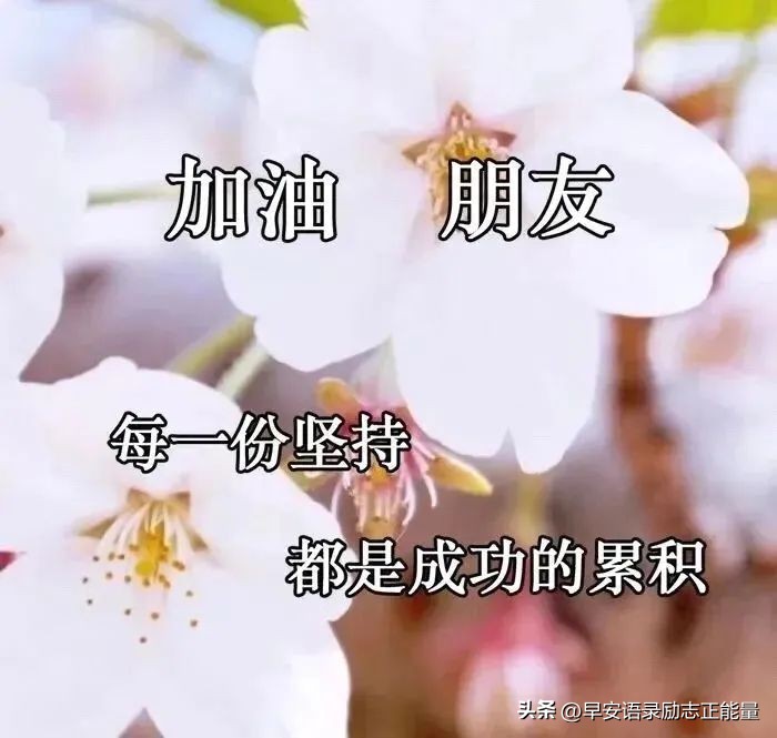 微信早上好正能量经典短语录,微信早晨发圈正能量的句子