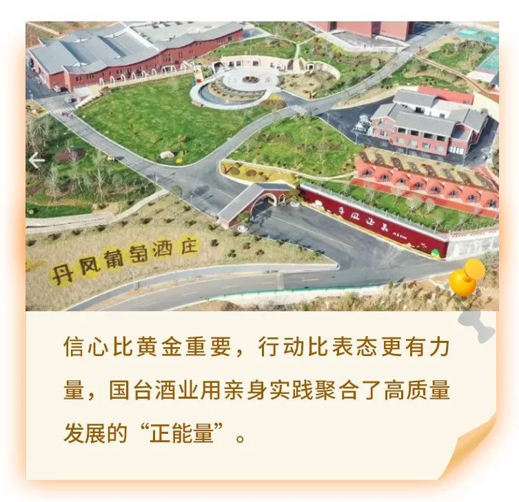 落魄的凤凰不如鸡卡通视频,落魄的凤凰不如鸡对吗