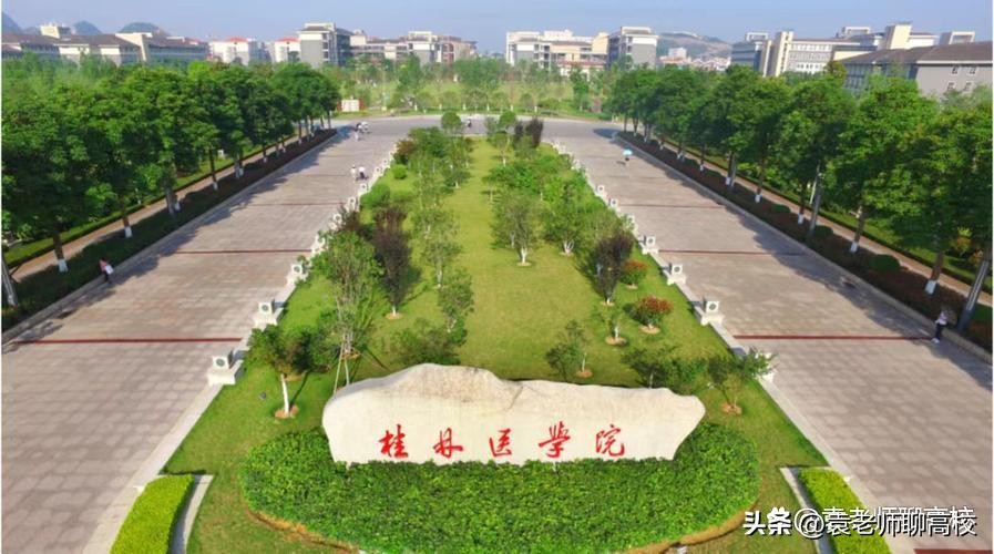 最好就业的三本医学院,就业率高的二本医学院