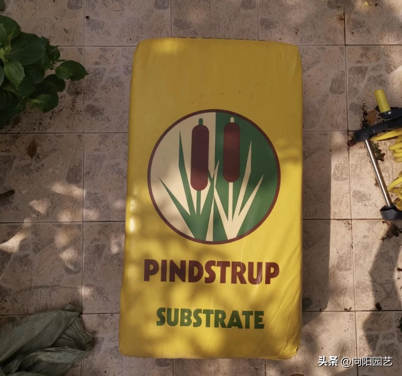 进口泥炭土哪个好,进口十大泥炭土排行