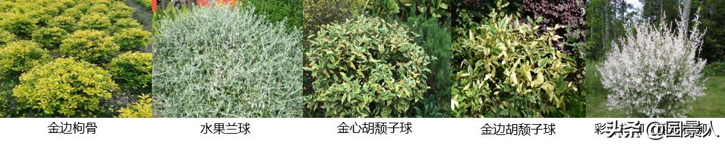 标杆房企园林景观工序,最新热销地产项目景观设计全解密