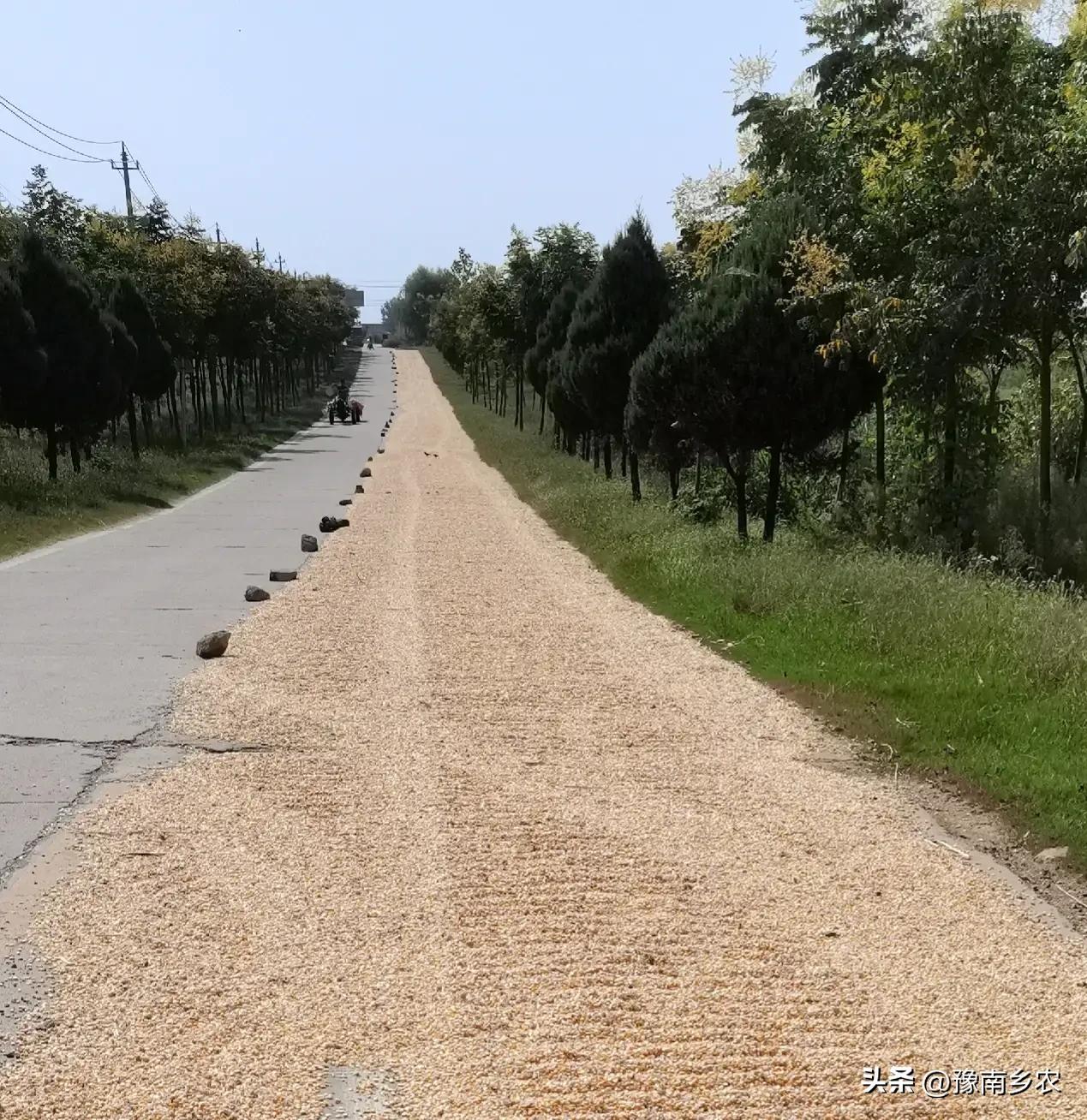 一场车祸彻底改变了我的人生轨迹,一场车祸让我失去了10年的记忆