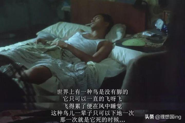 纪念香港回归电视剧,庆祝香港回归25周年重回经典