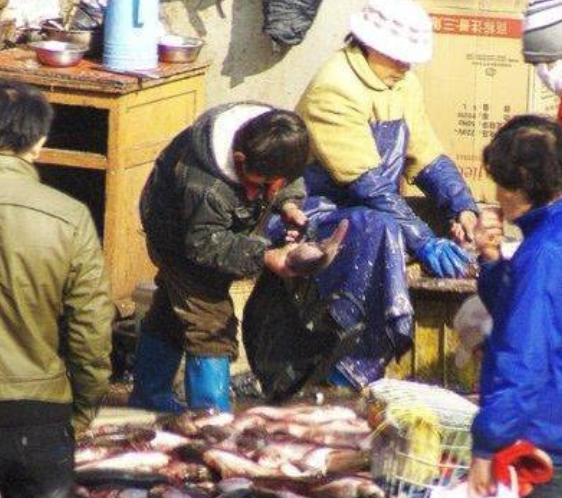 杀鱼弟孟繁森,杀鱼弟孟凡森的传奇人生