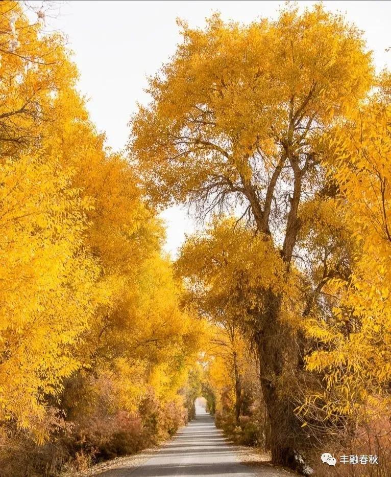灏婇噸浠栦汉涔熸槸绛変簬灏婇噸鑷繁,灏婇噸鑷繁鍜屽皧閲嶄粬浜虹殑宸紓