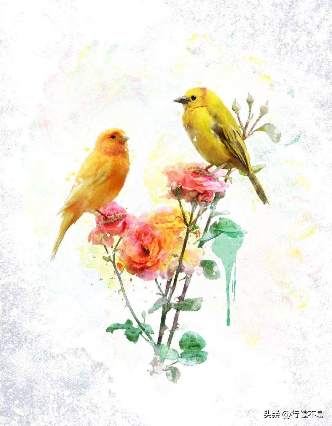 含有人生如梦诗句,人生如梦的诗词句句精辟