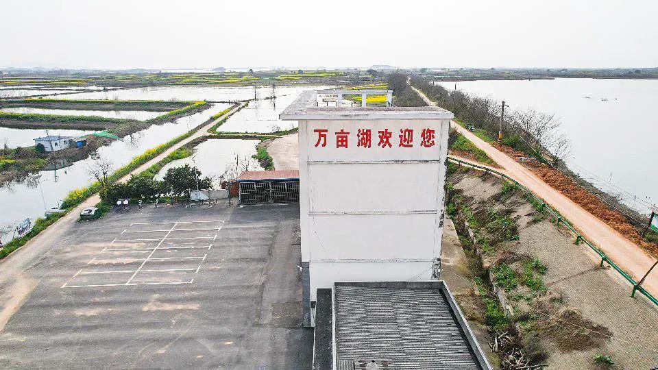 鄂州市泽林镇最新消息,鄂城区泽林镇泽林街