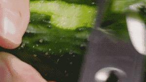 深圳什么医院看孩子包皮,深圳南山医院儿童包皮