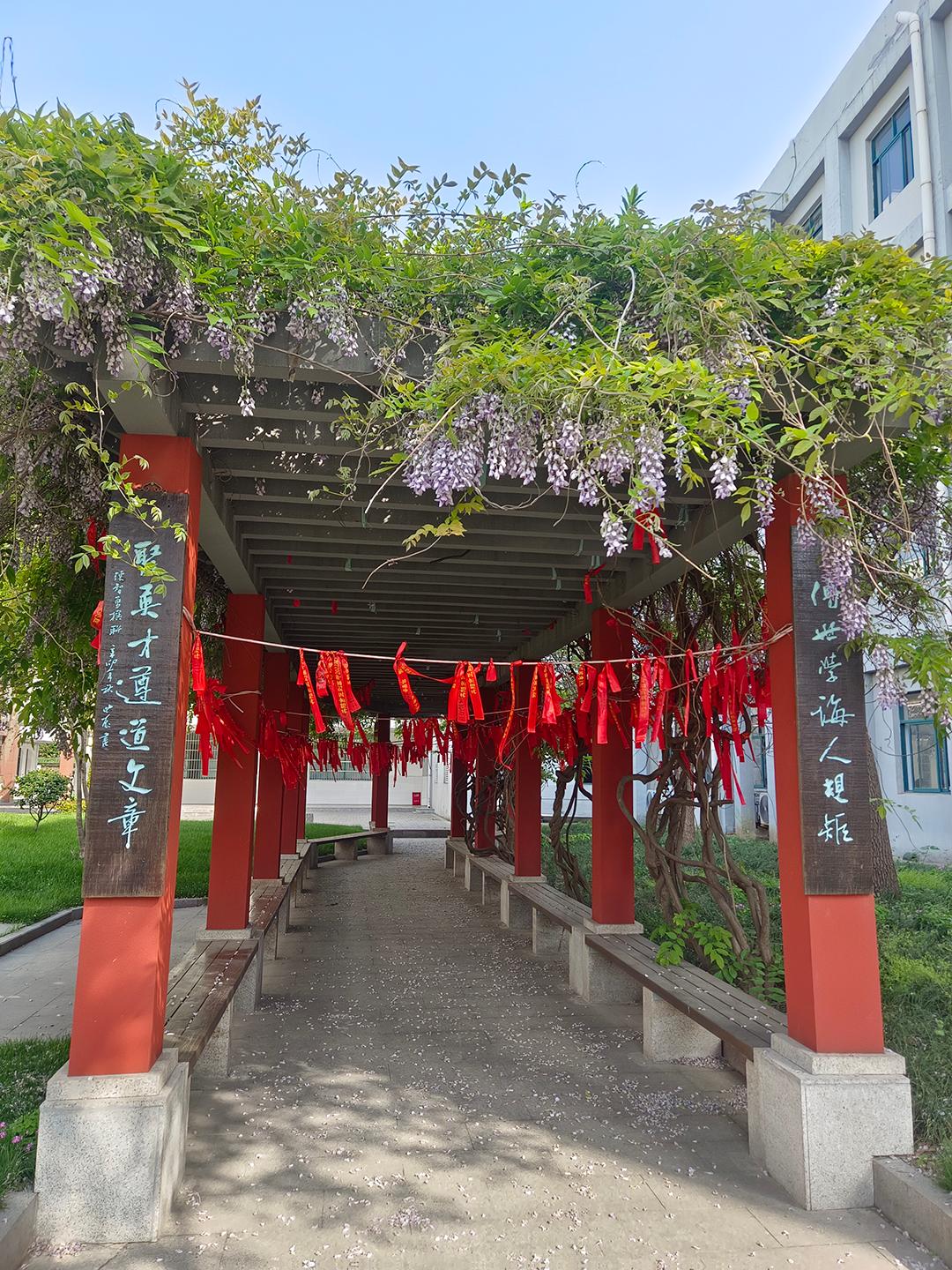 校友再回学校,丹阳六中校友