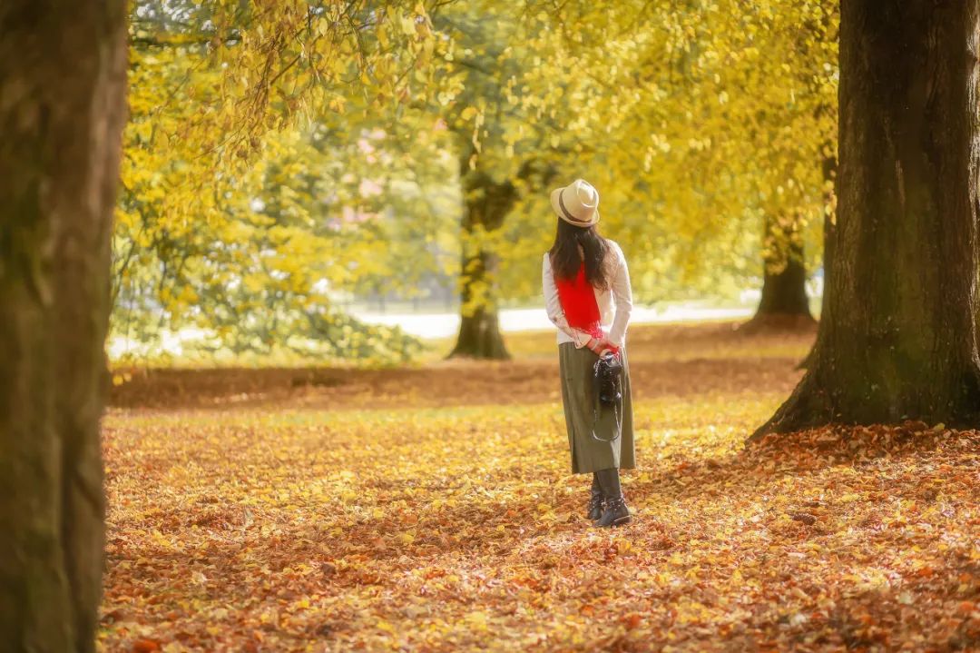 人的好运从哪里来深度好文,人的好运从哪里来原文