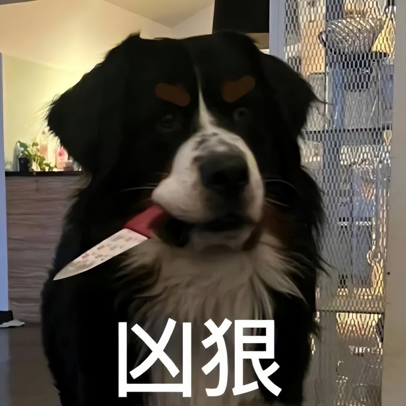 女厕的诡异事件,诡异女厕