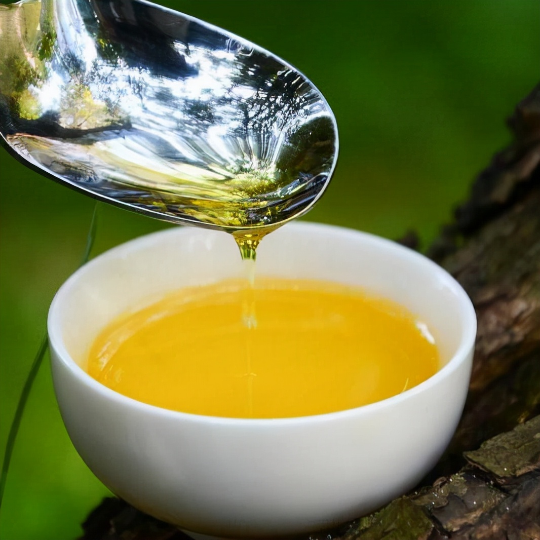 一两黄金二两茶油——山茶油