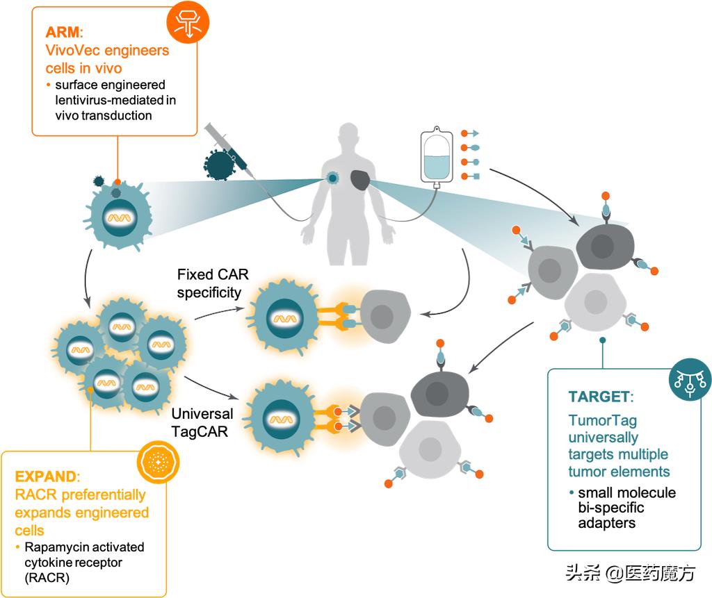 细胞治疗行业投资,细胞疗法投资