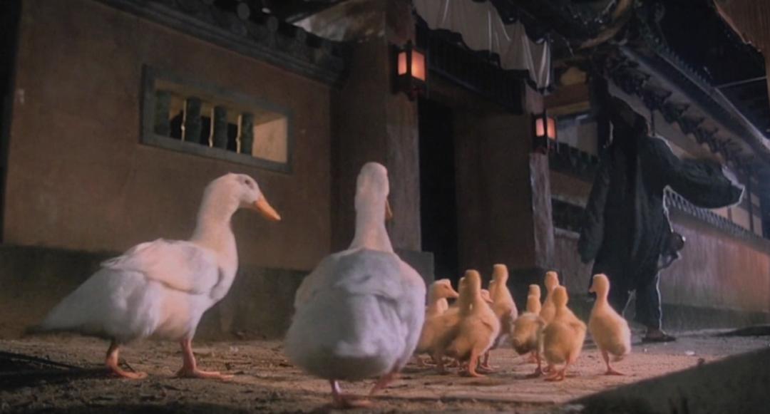 零食界三大奢侈品,零食界的爱马仕是什么