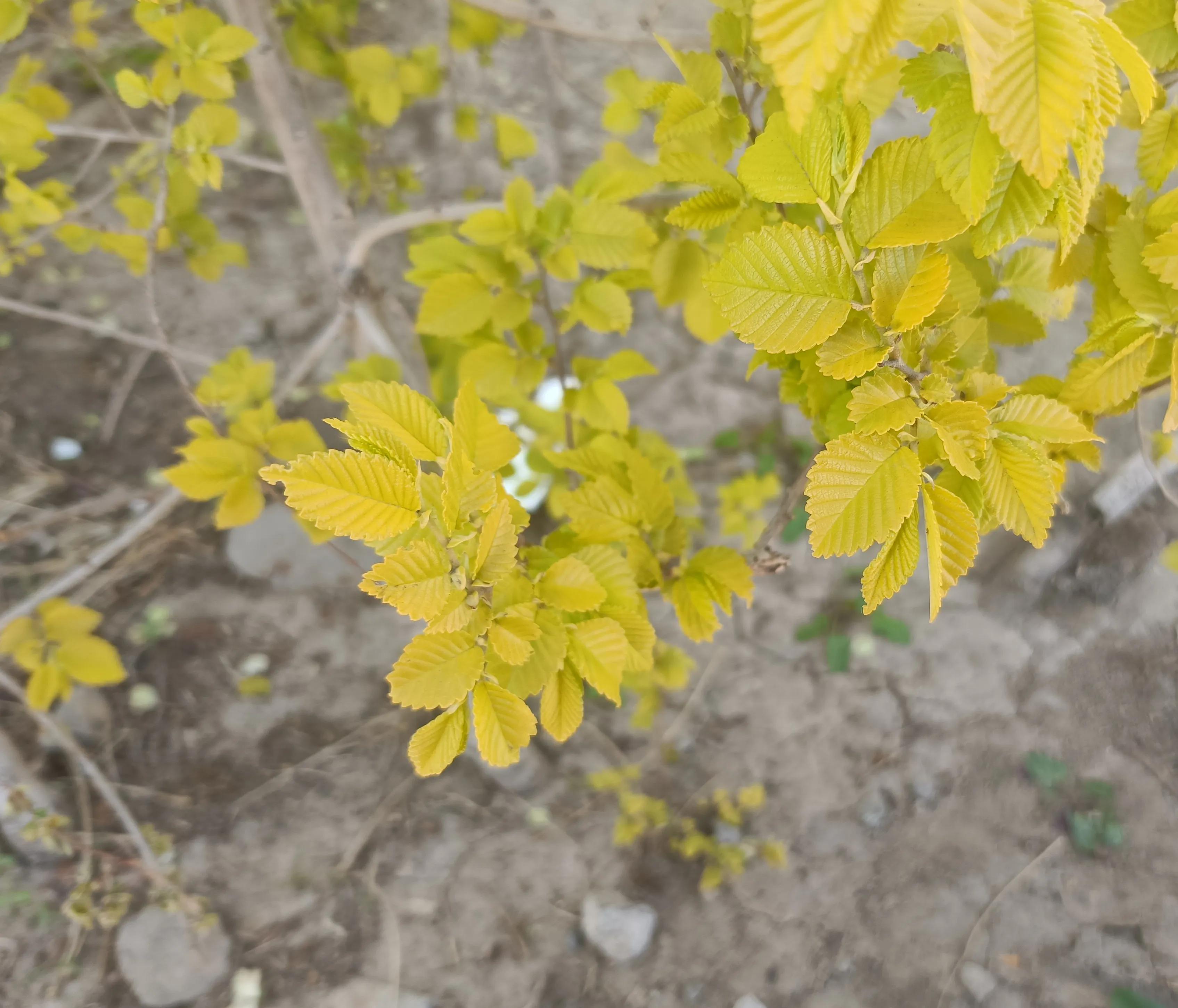 如何找到靠谱的外企,怎么找好的外企公司