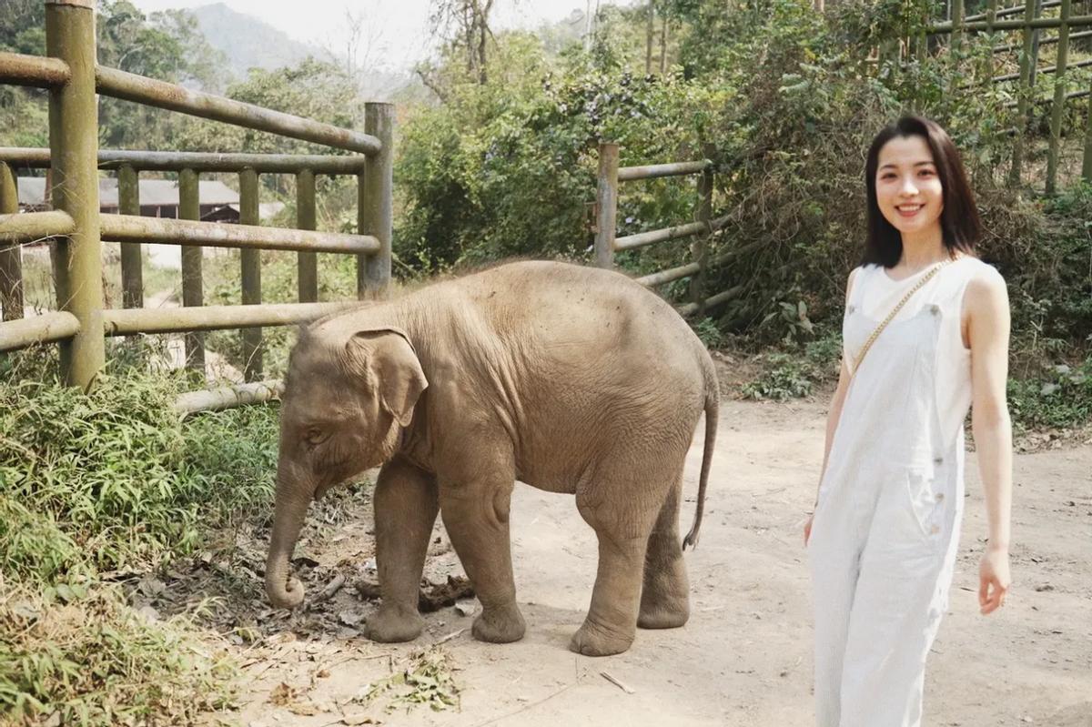 做模特月入30万三千完全够花,做模特月入十万真的吗