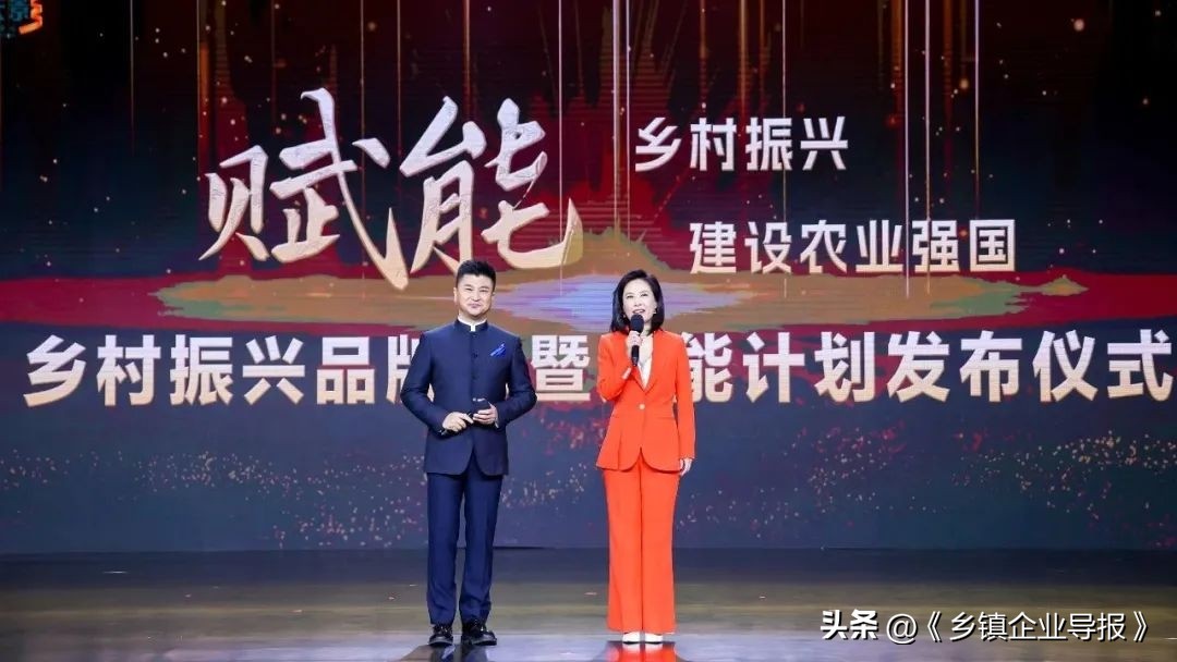 乡村振兴赋能计划人才典型案例,乡村振兴之文化振兴案例