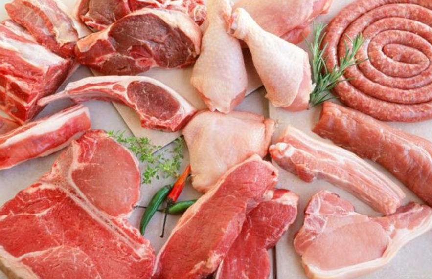 印度恒河用网抓清道夫,清道夫恒河印度