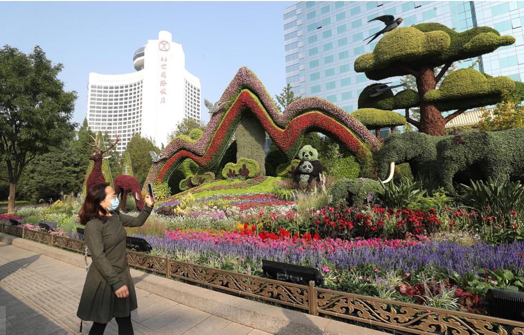 喜迎国庆立体花坛,国庆花坛景观图片