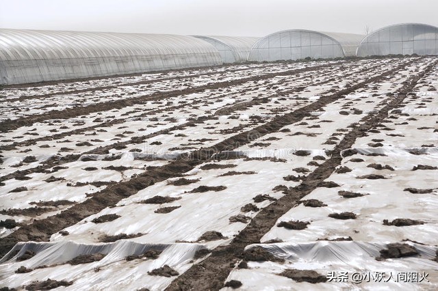 废玻璃瓶子利用,怎么把烂玻璃瓶变废为宝