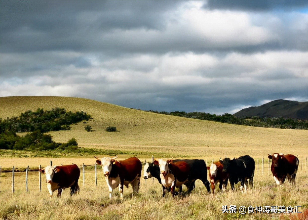 阿根廷普通人早餐吃什么,阿根廷一日三餐都吃什么