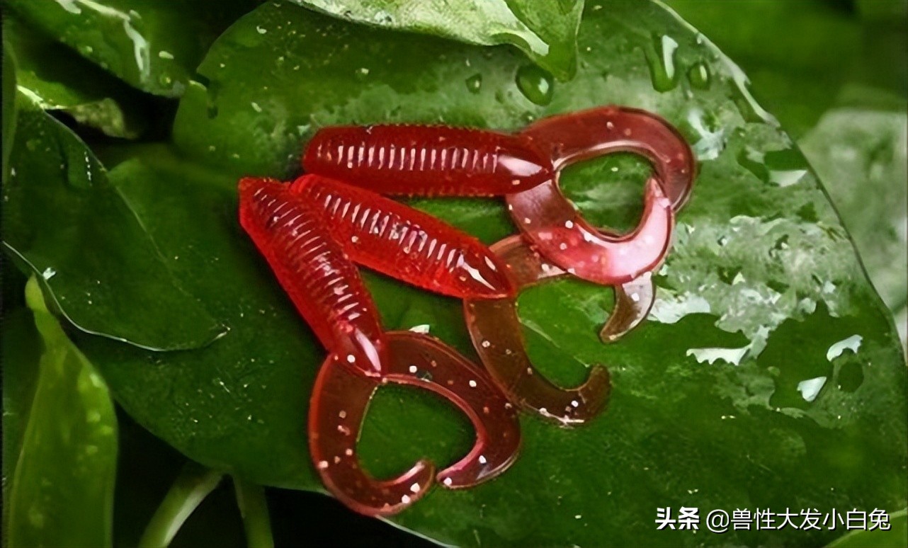 路亚鱼饵的介绍,路亚饵的全方面介绍