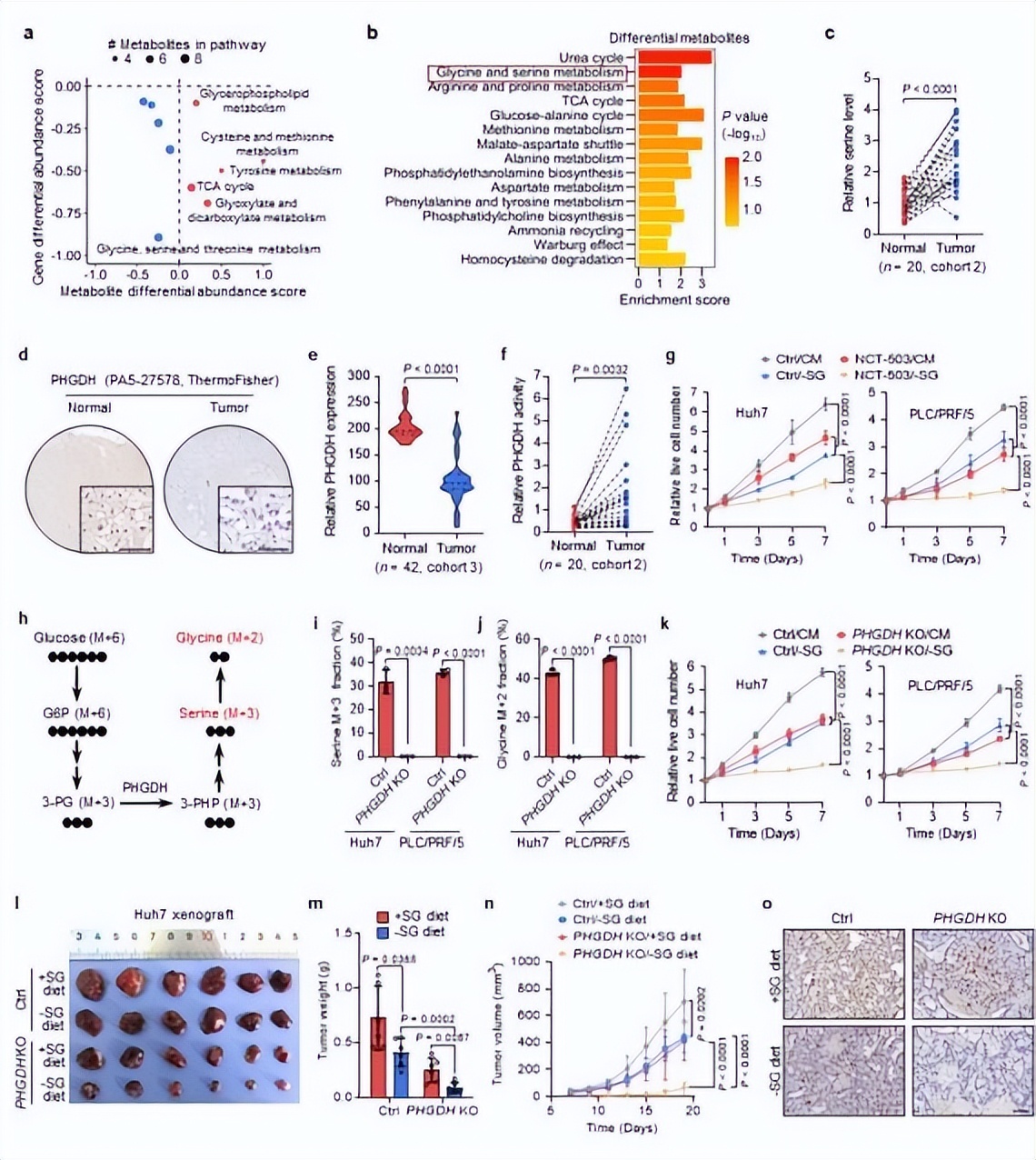 肝癌最新科研成果,2022中国患肝癌人数